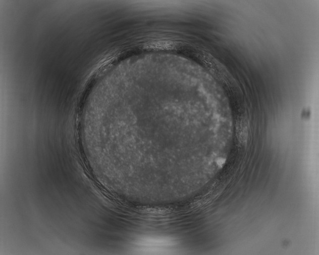 X0000116780735201001281214