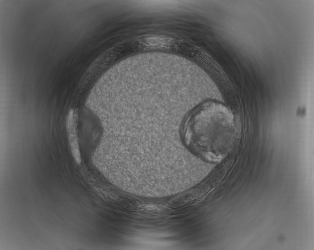 X0000116780737201001281214