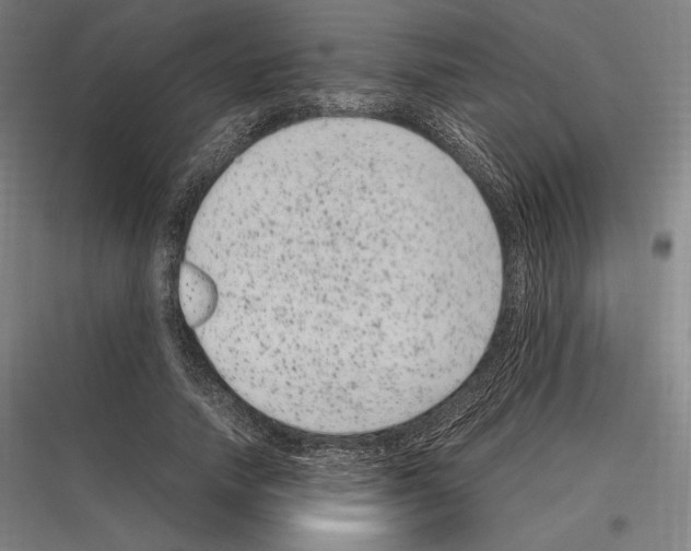 X0000116780738201001281214