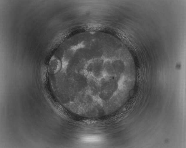 X0000116780742201001281214