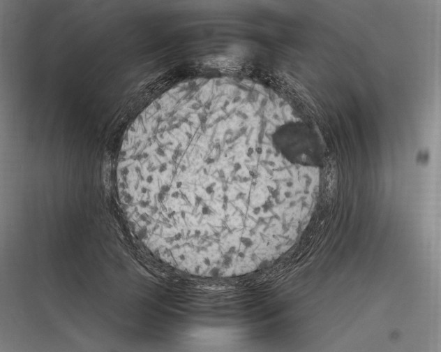 X0000116780745201001281214