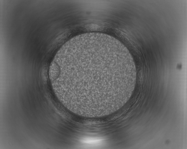 X0000116780746201001281214