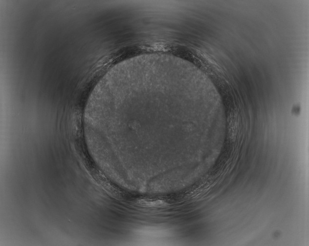 X0000116780747201001281214