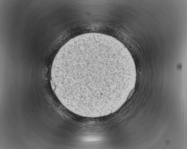 X0000116780750201001281214