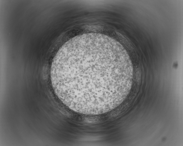 X0000116780757201001281214