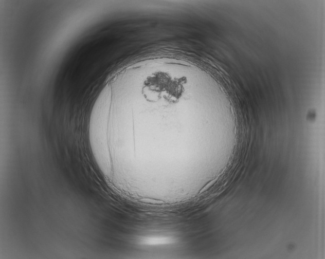 X0000116780762201001281214