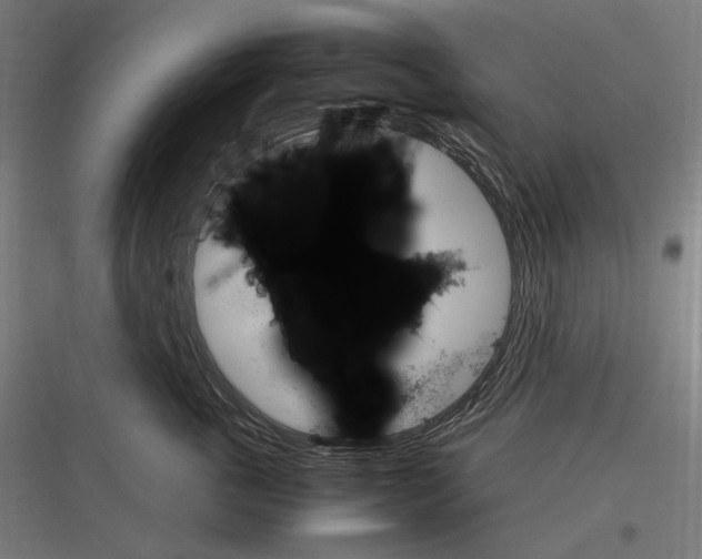 X0000116780763201001281214