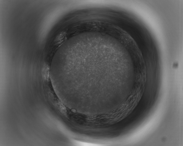 X0000116780766201001281214