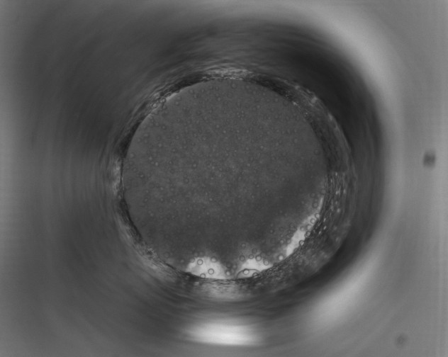 X0000116780767201001281214