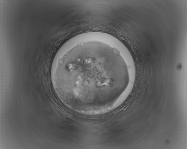 X0000116780769201001281214