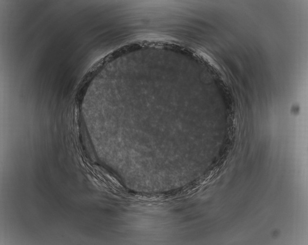 X0000116780775201001281213