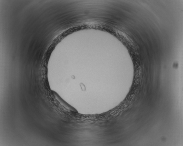 X0000116780776201001281213