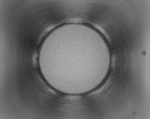 X0000116780778201001281213