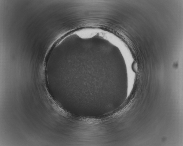 X0000116780779201001281213