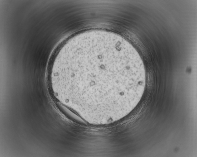 X0000116780780201001281213