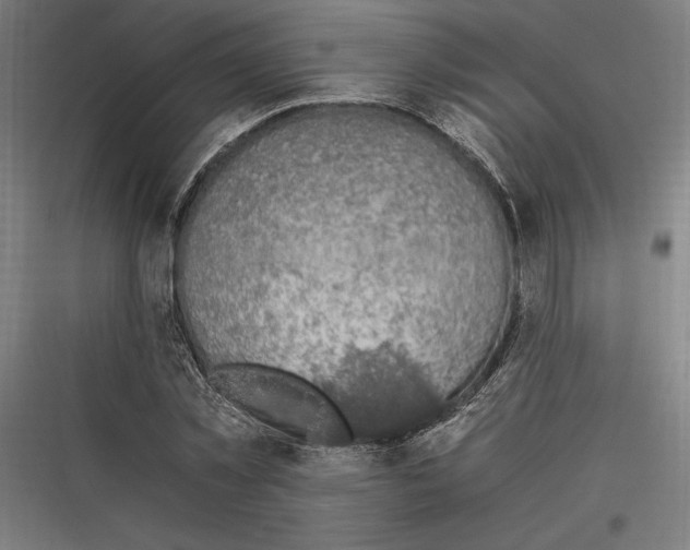 X0000116780781201001281213