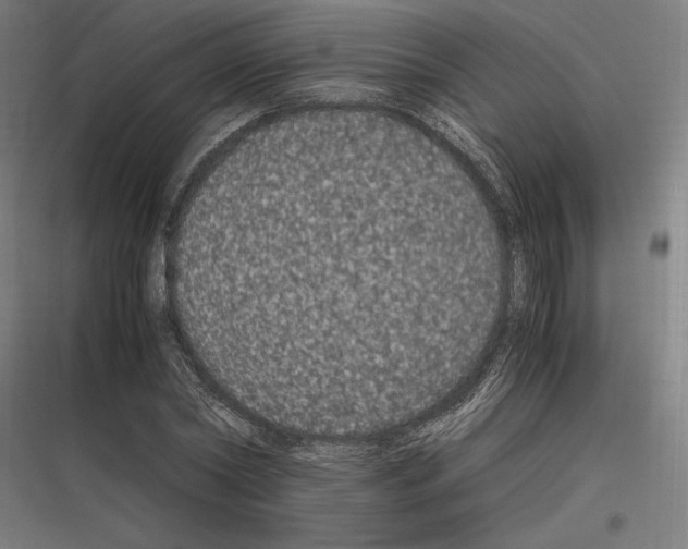 X0000116780782201001281213