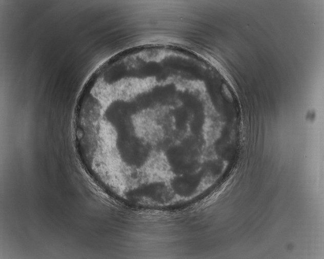 X0000116780783201001281213