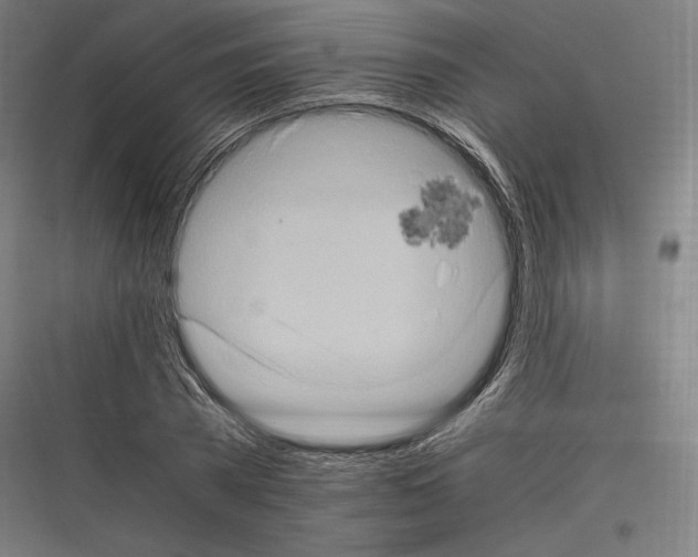 X0000116780785201001281213