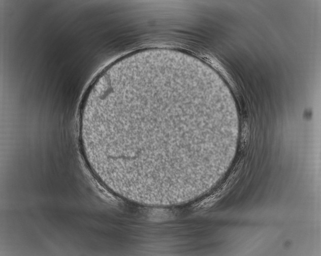 X0000116780787201001281213