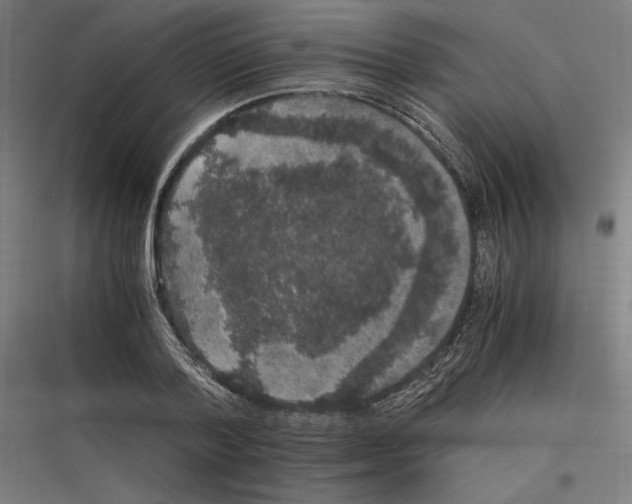 X0000116780788201001281213