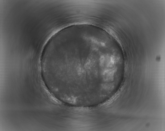 X0000116780789201001281213