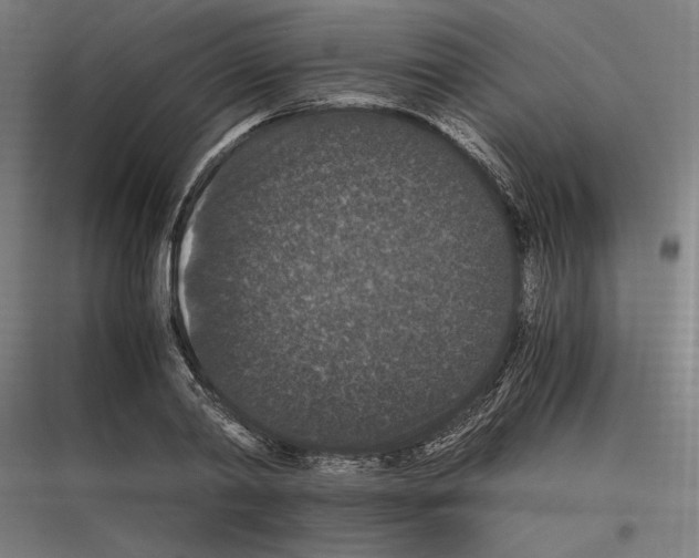 X0000116780790201001281213