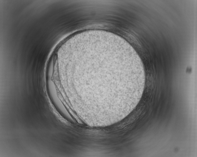 X0000116780792201001281213