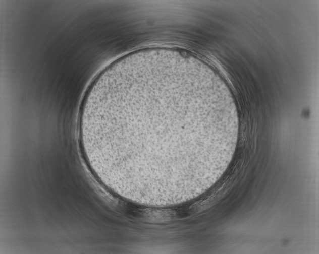 X0000116780795201001281213