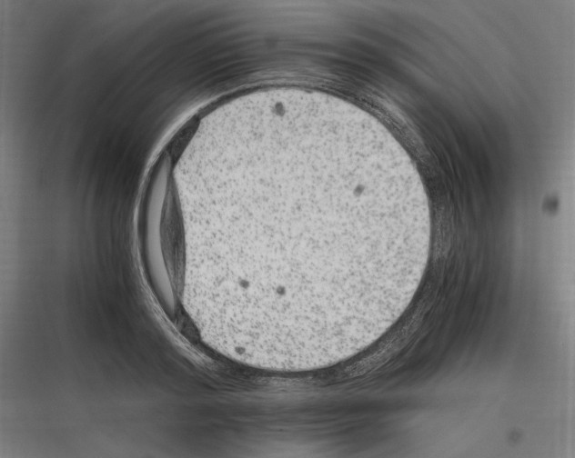 X0000116780796201001281213