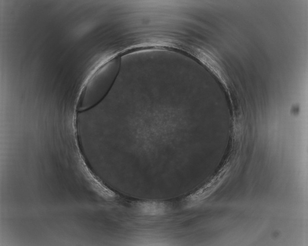 X0000116780797201001281213