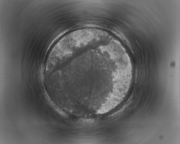 X0000116780798201001281213