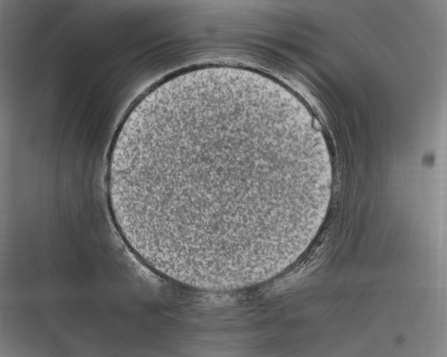 X0000116780799201001281213