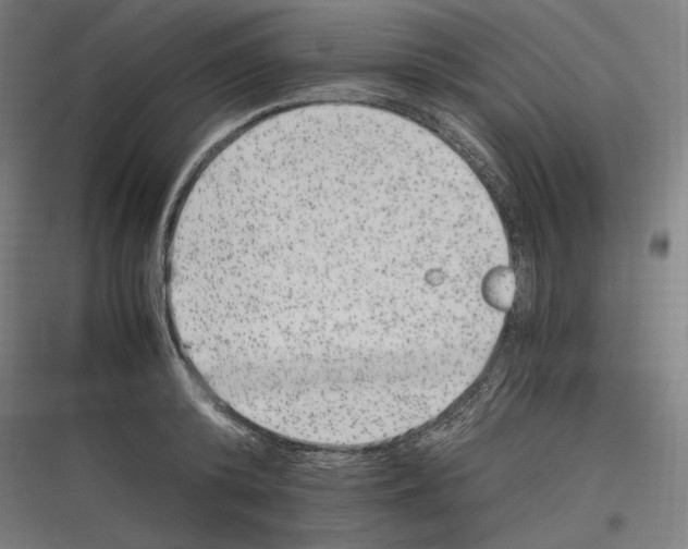 X0000116780800201001281213