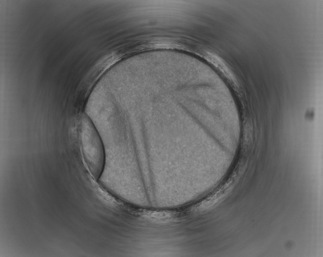 X0000116780801201001281213