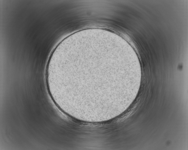 X0000116780803201001281213