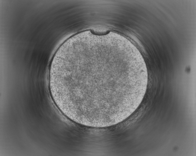 X0000116780804201001281213