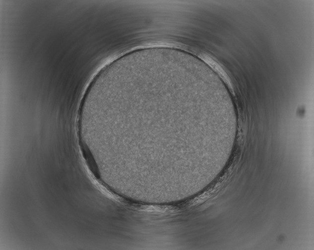 X0000116780805201001281213