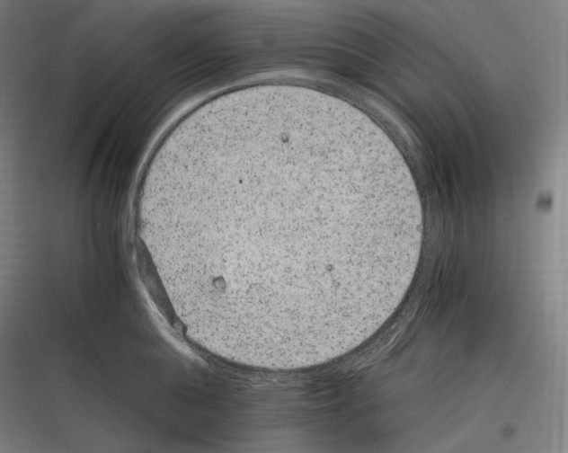 X0000116780808201001281213