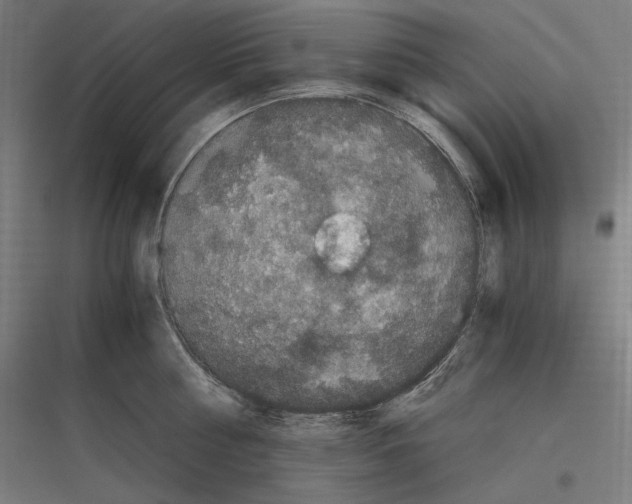 X0000116780810201001281213