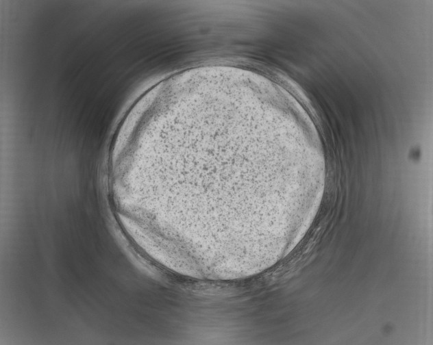 X0000116780811201001281213