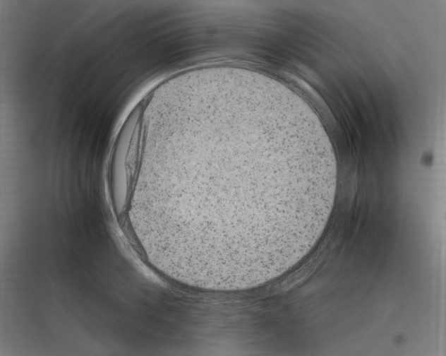 X0000116780812201001281213