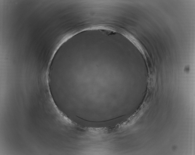 X0000116780813201001281213