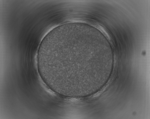 X0000116780814201001281213