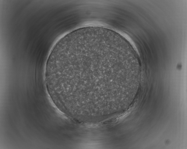 X0000116780815201001281213