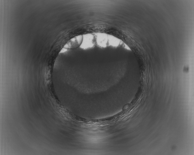 X0000116780818201001281212