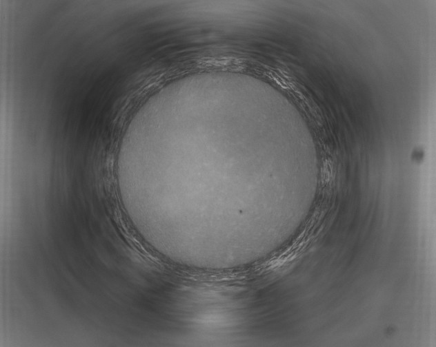 X0000116780820201001281212