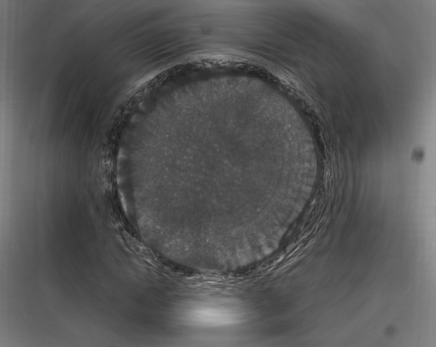 X0000116780822201001281212