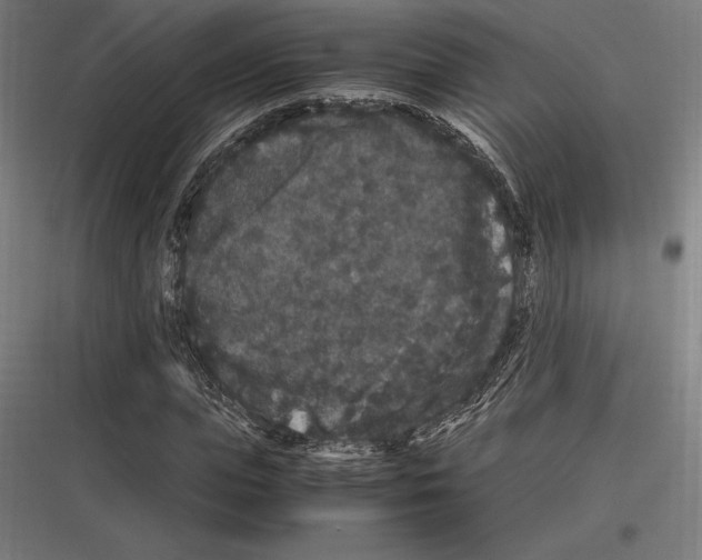 X0000116780823201001281212