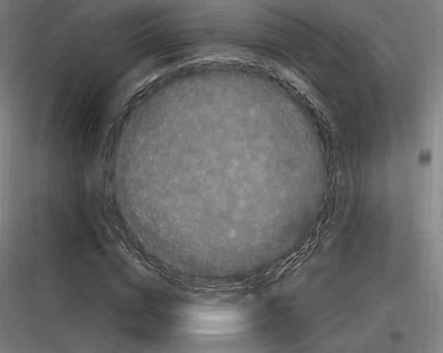 X0000116780824201001281212